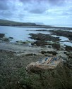 Image of a scenic Orcadian waterside