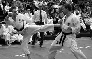 Andrew Hamilton Karate picture.