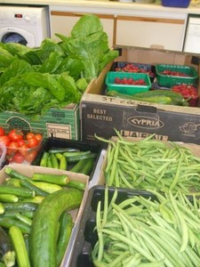 Image of Plantie Crue vegetables