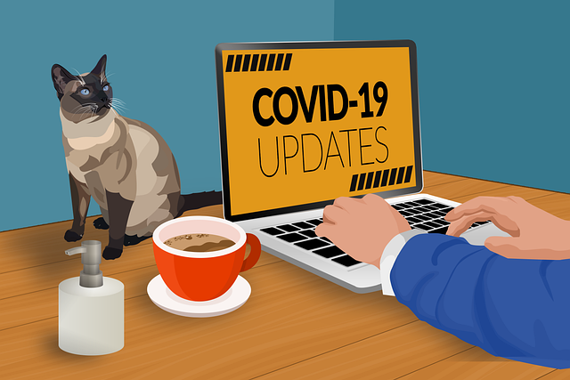 Coronavirus (Covid-19) - Working from home