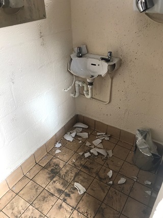 Dingieshowe toilet vandalised.