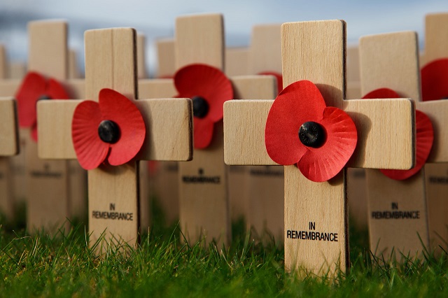 Image of remembrance poppies and crosses
