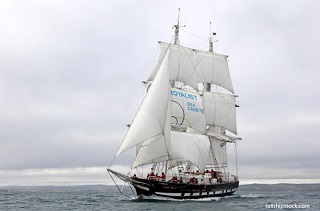 Tall Ship Royalist.