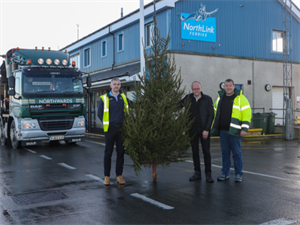 Christmas trees to be lit up across the county