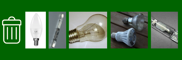 Image containing various bulbs meant for waste