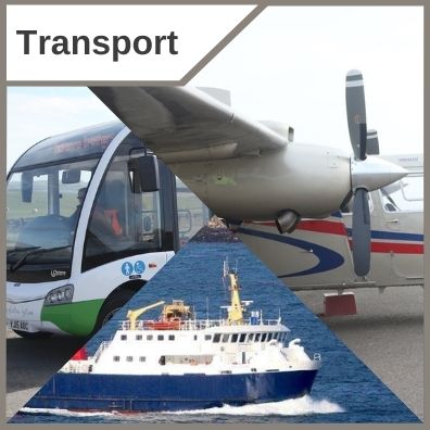 Bus Services