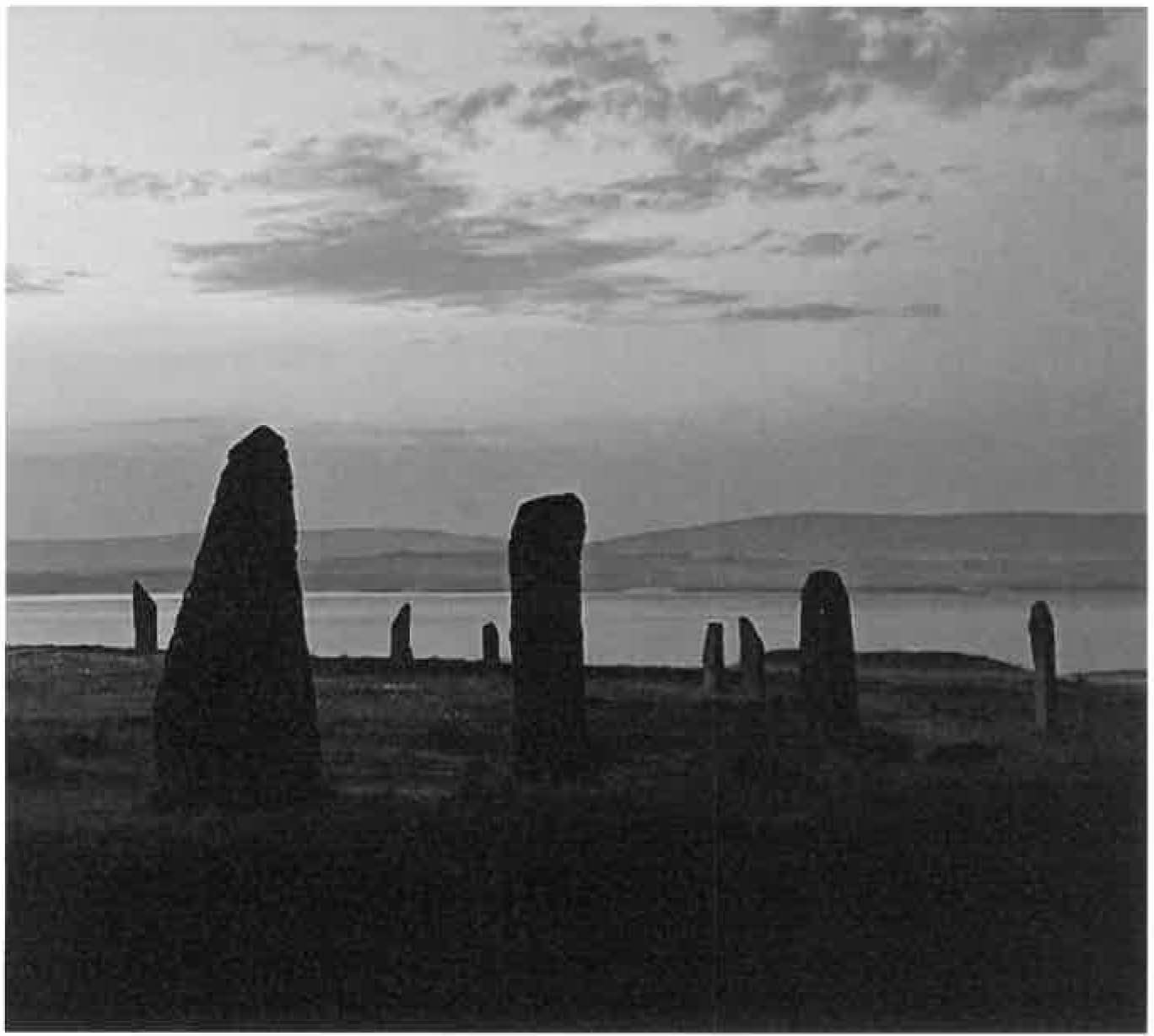 VACMA Wendy Barker End Of Project Report 12