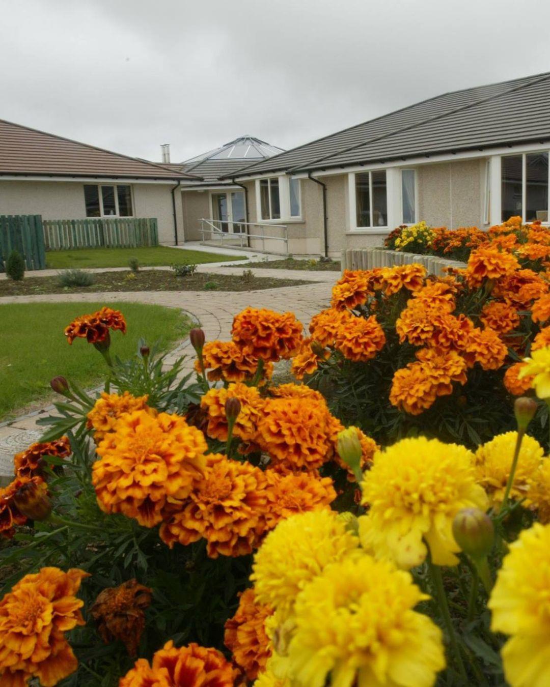 A building in the background with orange and yellow flowers in the foreground