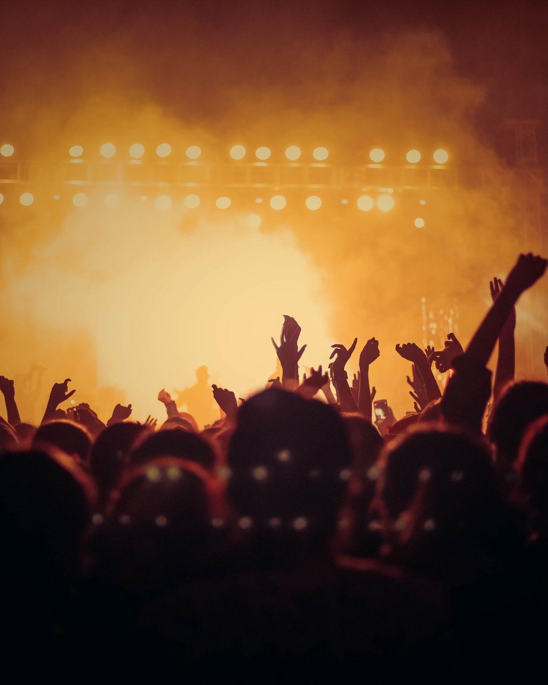A crowd of people dancing at a concert.
