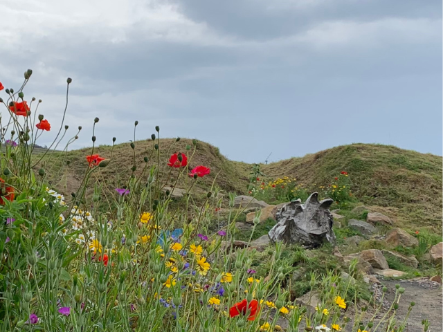 a photo of some grass and some red poppies with smaller yellow flowers beside it