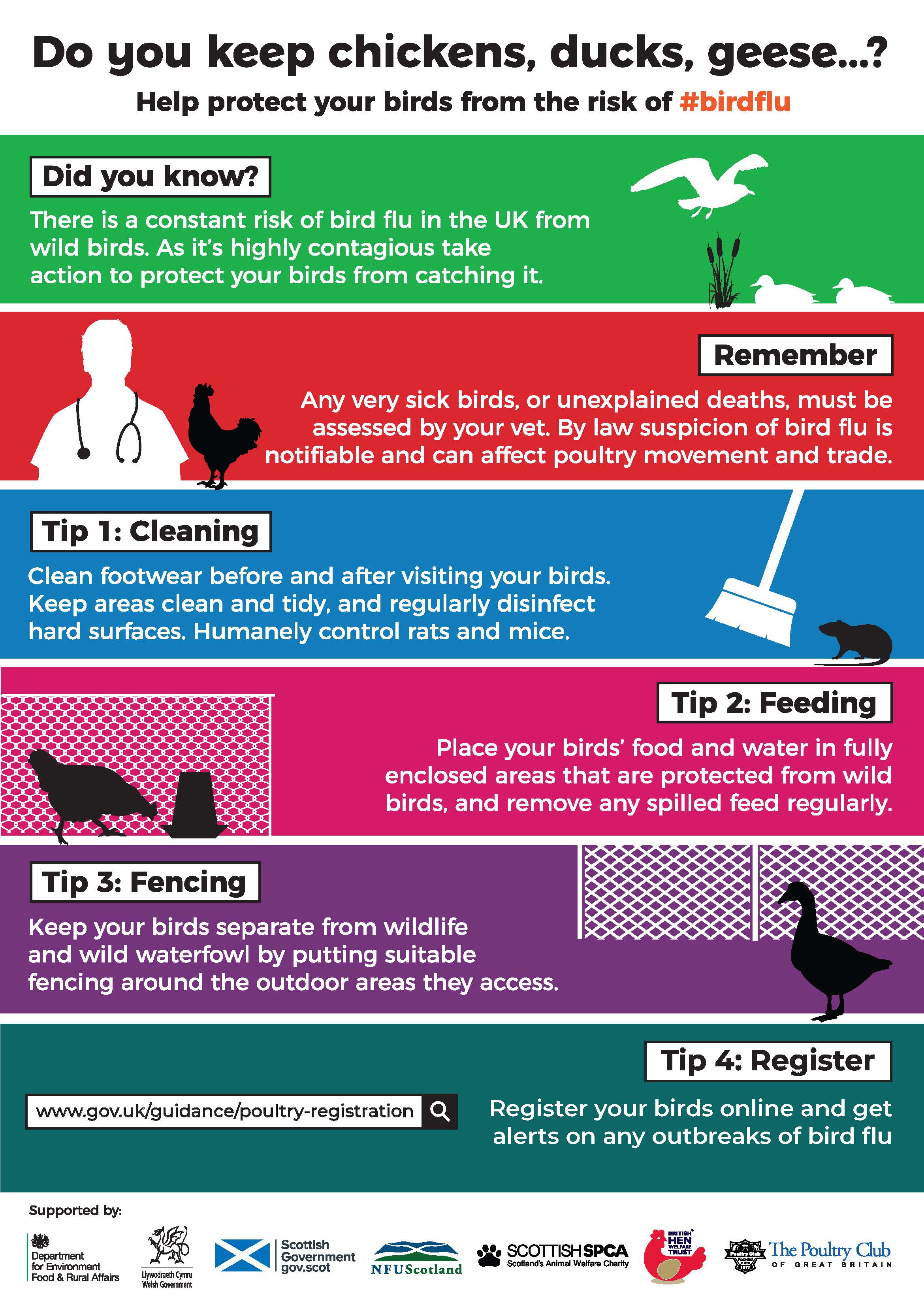 Bird flu poster