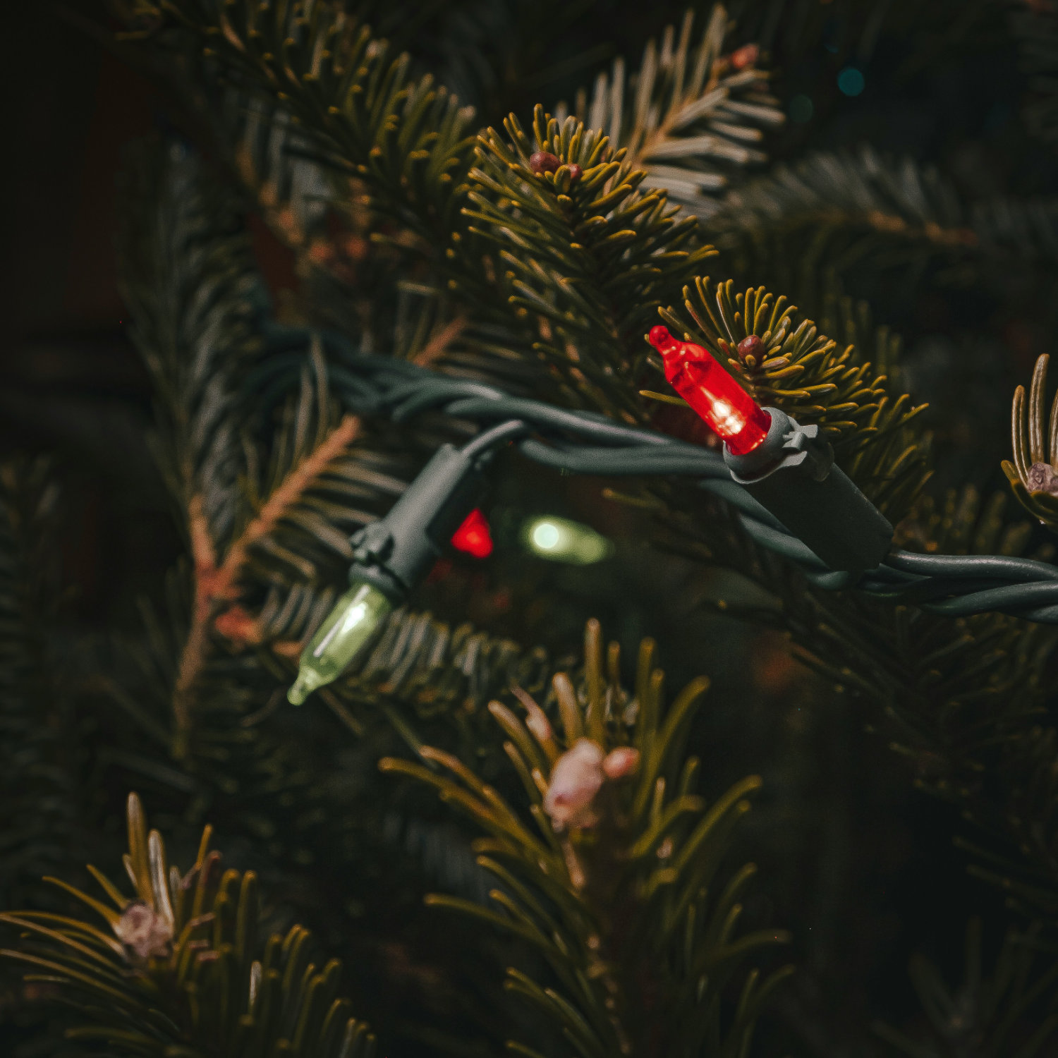 Daniel Shapiro Wtty Mvnt3c Unsplash