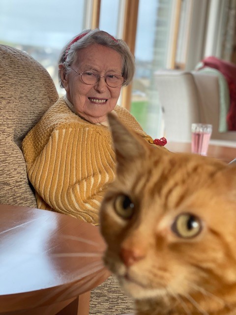 a ginger cat sitting beside an old lady on a chair