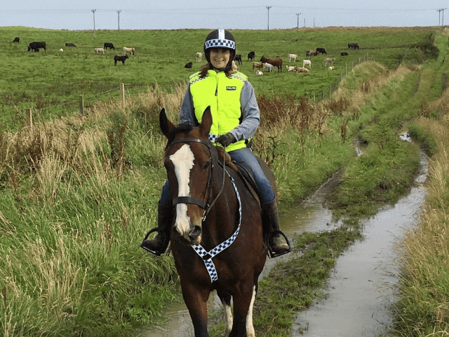 horse rider