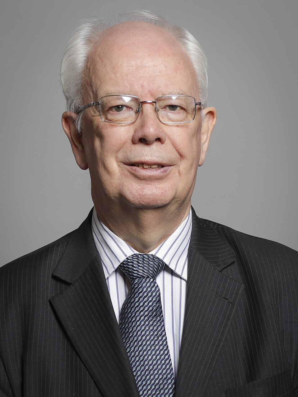 Official Portrait Of Lord Wallace Of Tankerness Crop 2, 2019