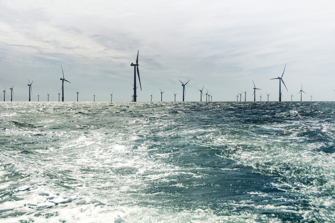 lots of windmills in the sea