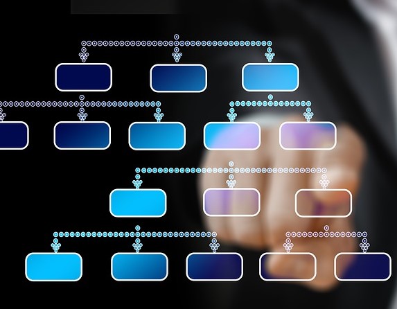 An organisation chart