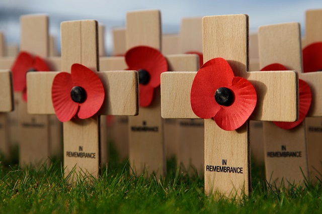 wooden crosses with red poppies saying 'in rememberance'
