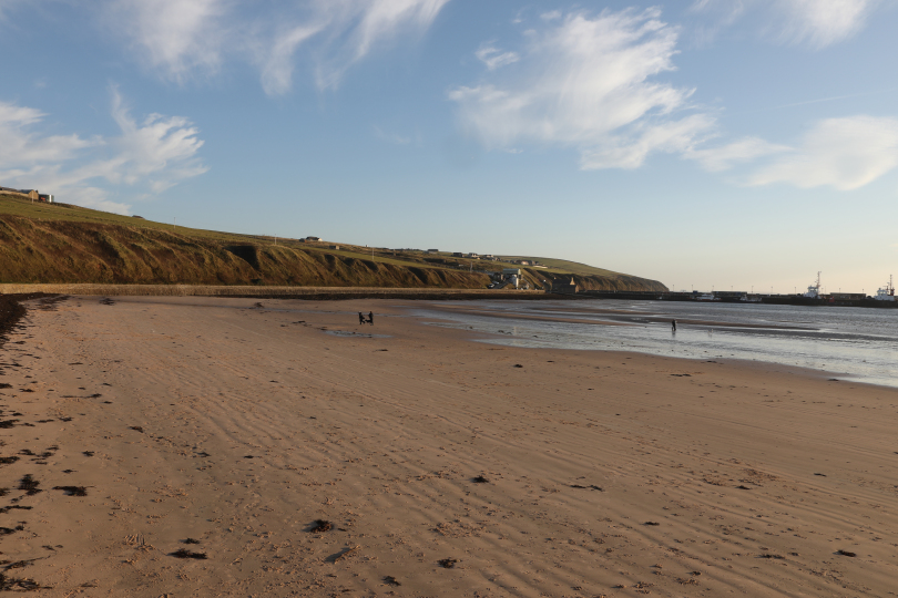 Scapa Beach 4127