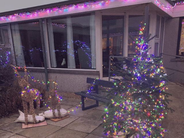Christmas Lights