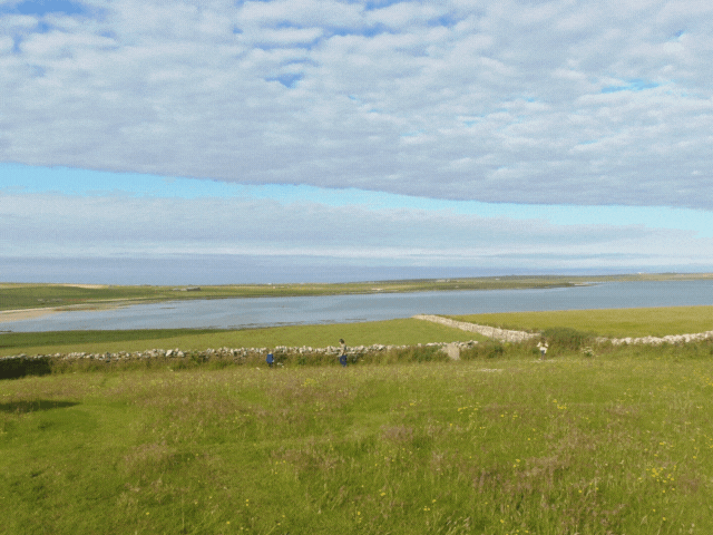 a landscape picture of a field and the sea