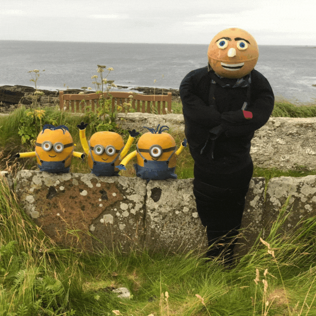 Minions and Gru - pumpkin/scarecrows