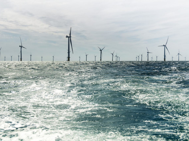 lots of windmills in the water