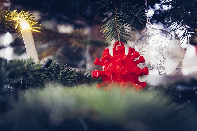x-mas-g83259dae4_640.jpg